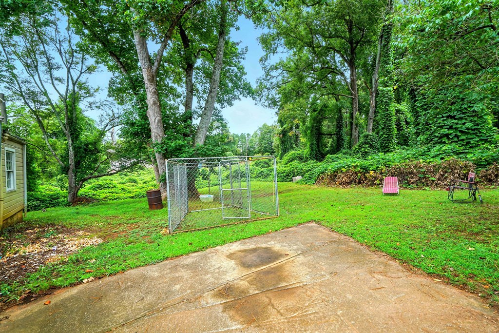 1003 East Church Street Jasper, GA 30143 - Photo 4 of 27 a view of a park with large trees