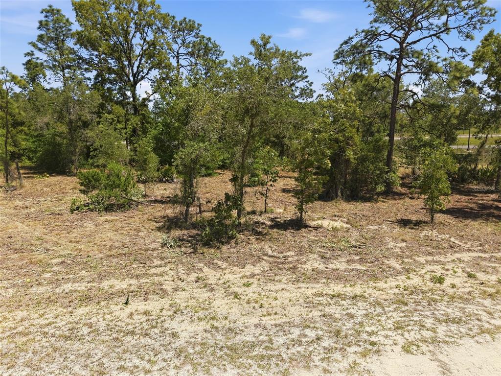 10 Cagarro Road Weeki Wachee, FL 34614 - Photo 3 of 21