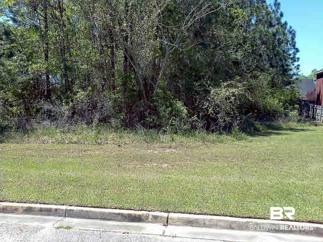 0 Pebble Creek Drive Mobile, AL 36695 - Photo 6 of 6