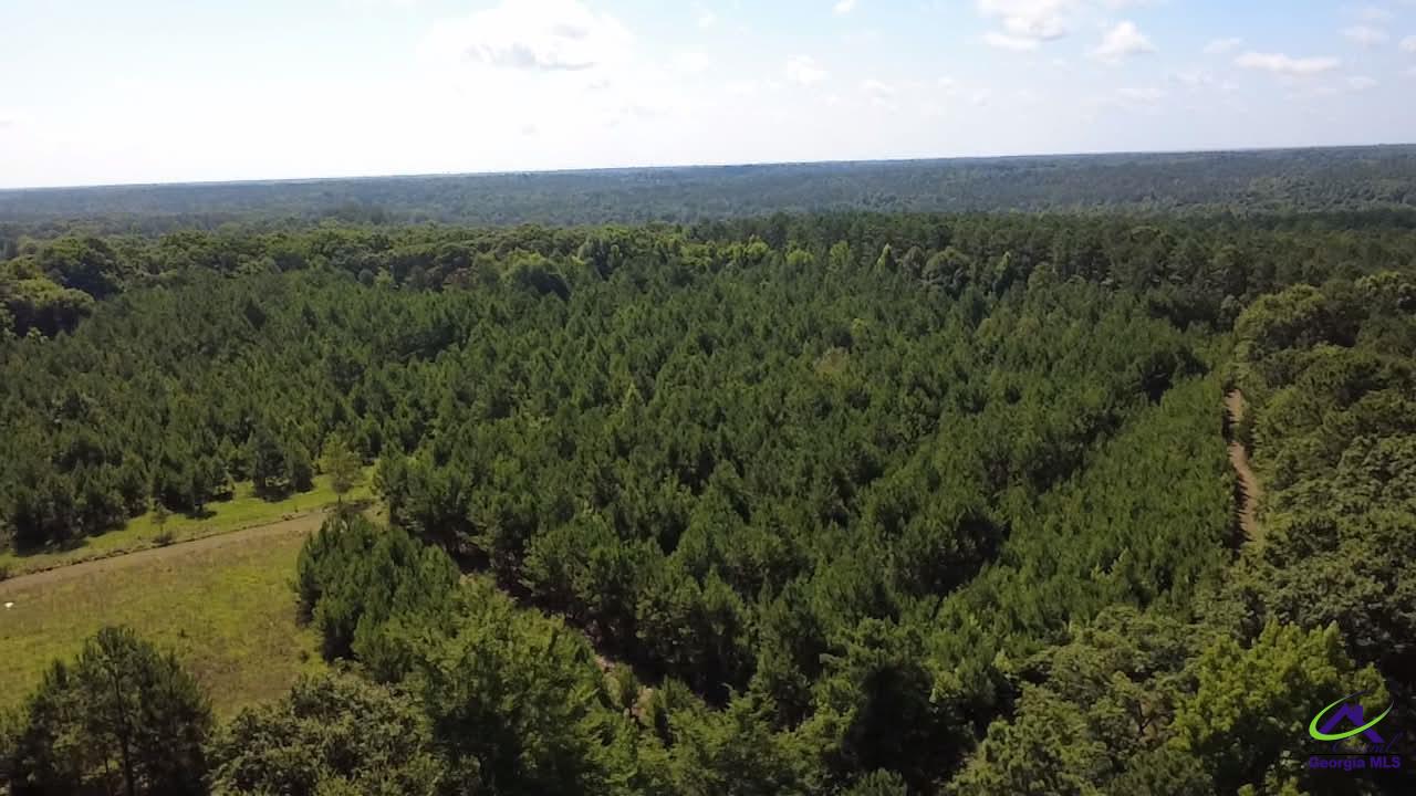1636 Tribble Road Fort Valley, GA 31030 - Photo 6 of 8