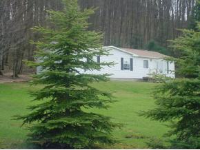 199 Hunter Road Springville, PA 18844 - Photo 2 of 6