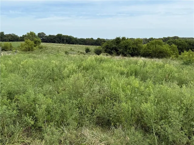 $1,024,000 | South Grant Road, Creighton, MO 64739