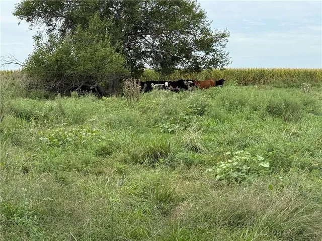 $1,024,000 | South Grant Road, Creighton, MO 64739