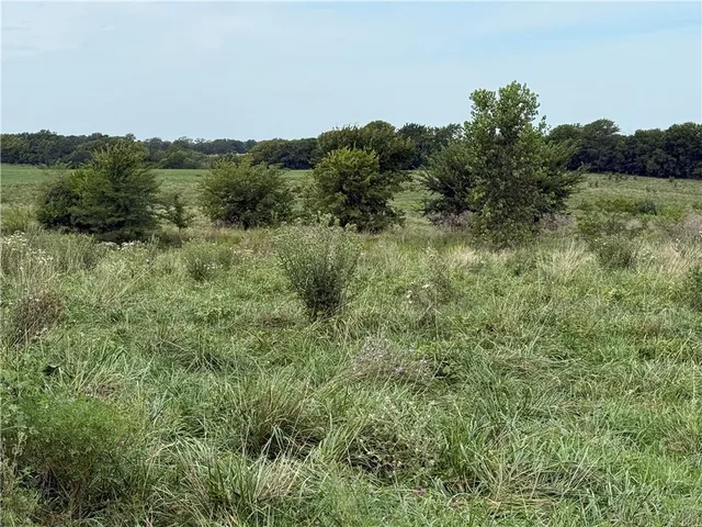 $1,024,000 | South Grant Road, Creighton, MO 64739