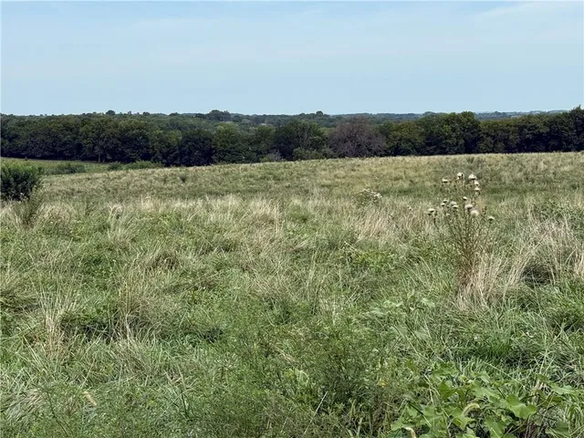 $1,024,000 | South Grant Road, Creighton, MO 64739