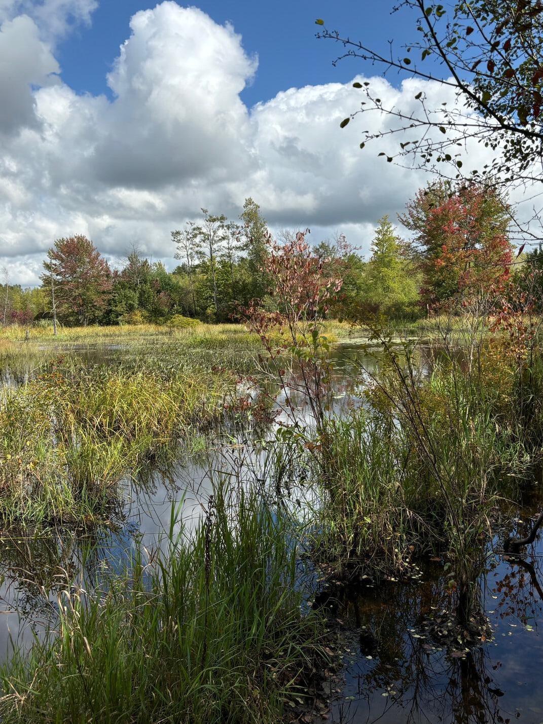 282 Dirigo Road South China, ME 04358 - Photo 38 of 39 Pond