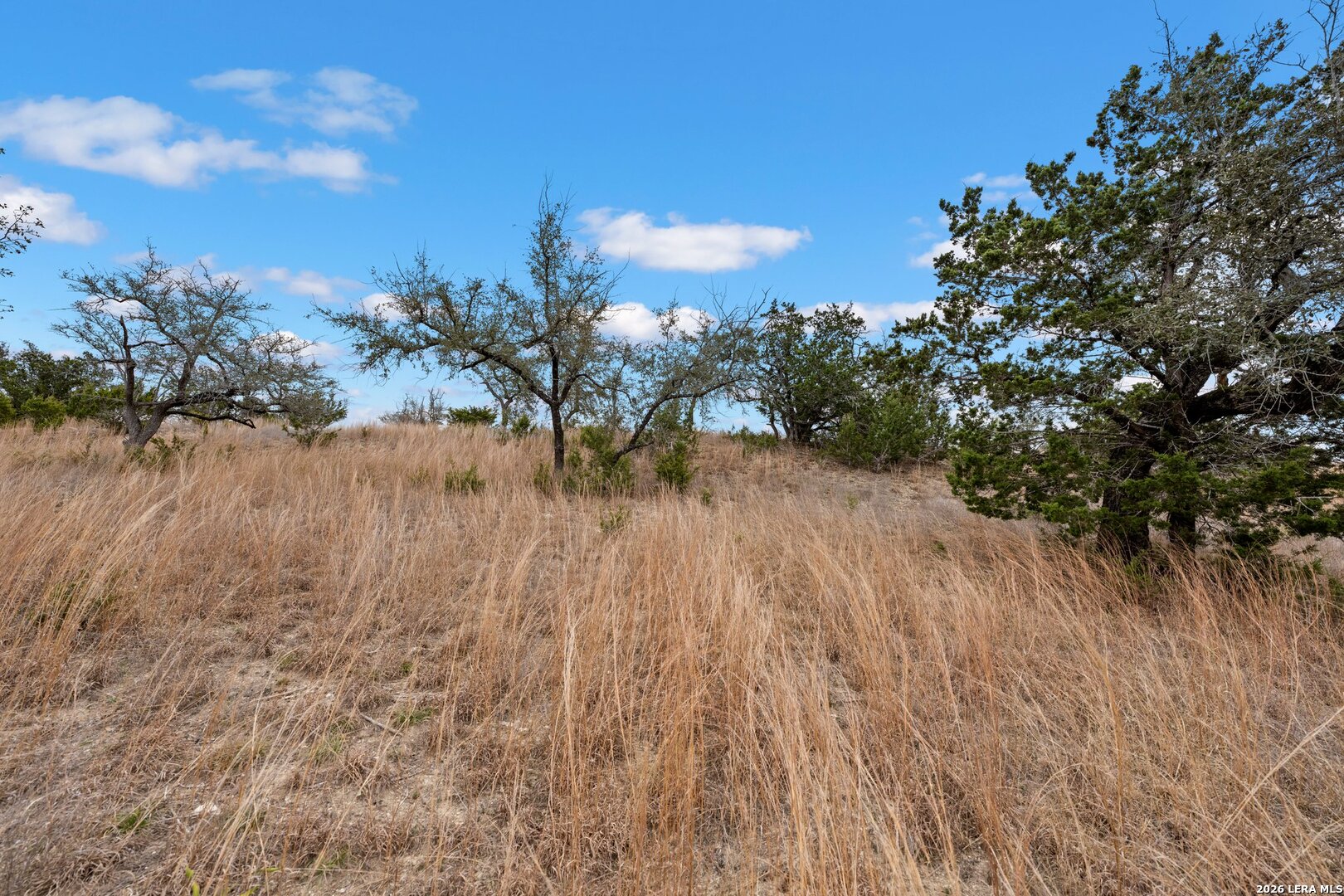 Tbd Great Sky Ranch Avenue Center Point, TX 78010 - Photo 17 of 18 a view of lake with green space