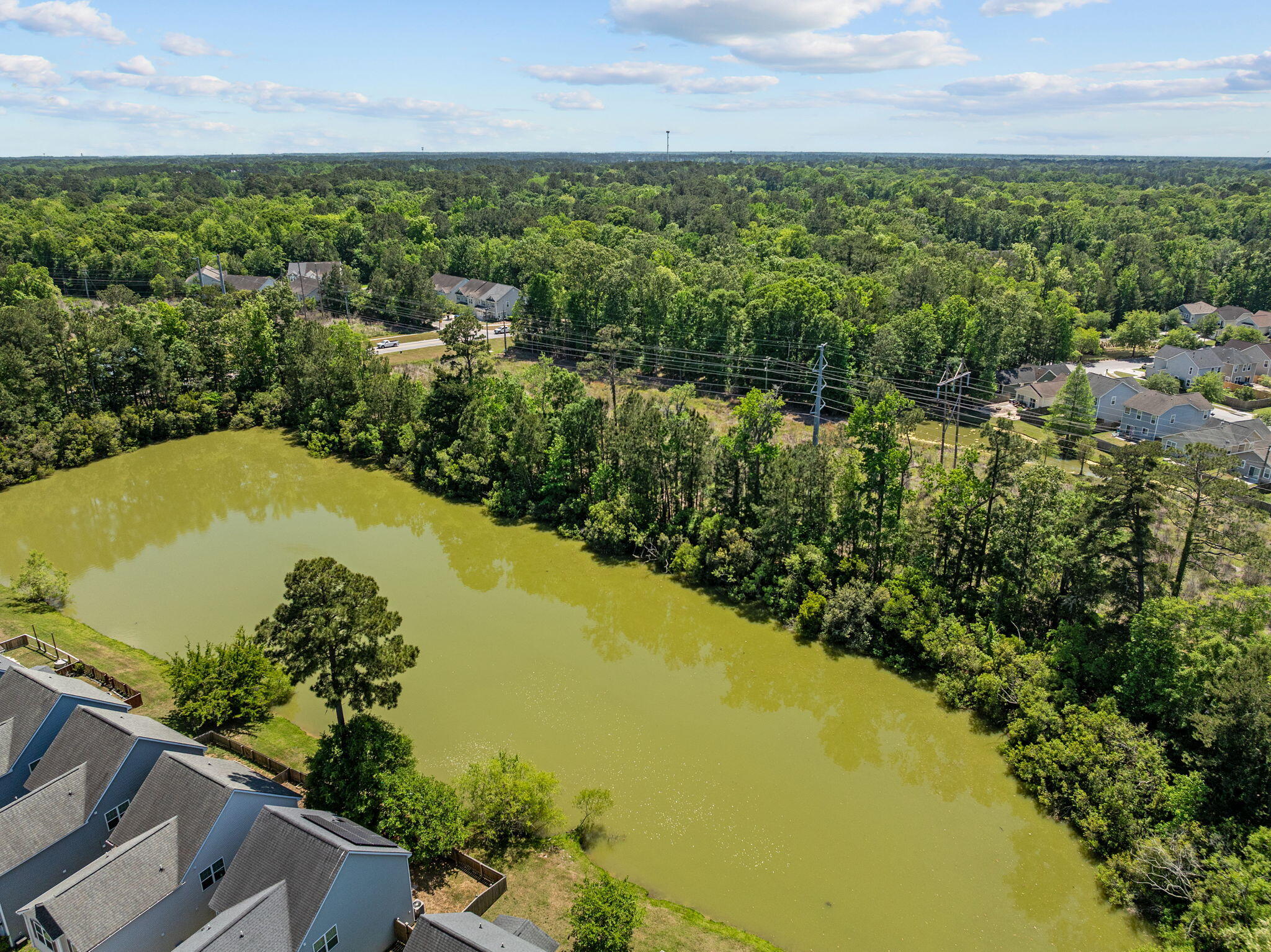 8988 Cat Tail Pond Road Summerville, SC 29485 - Photo 45 of 46 51-web-or-mls-DJI_0017