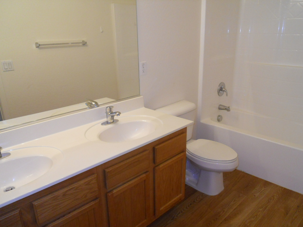 23733 West Pecan Road Buckeye, AZ 85326 - Photo 15 of 17 Hall Bath