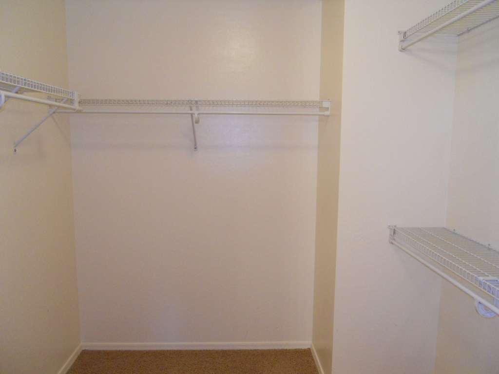 23733 West Pecan Road Buckeye, AZ 85326 - Photo 17 of 17 Walk-in Closet