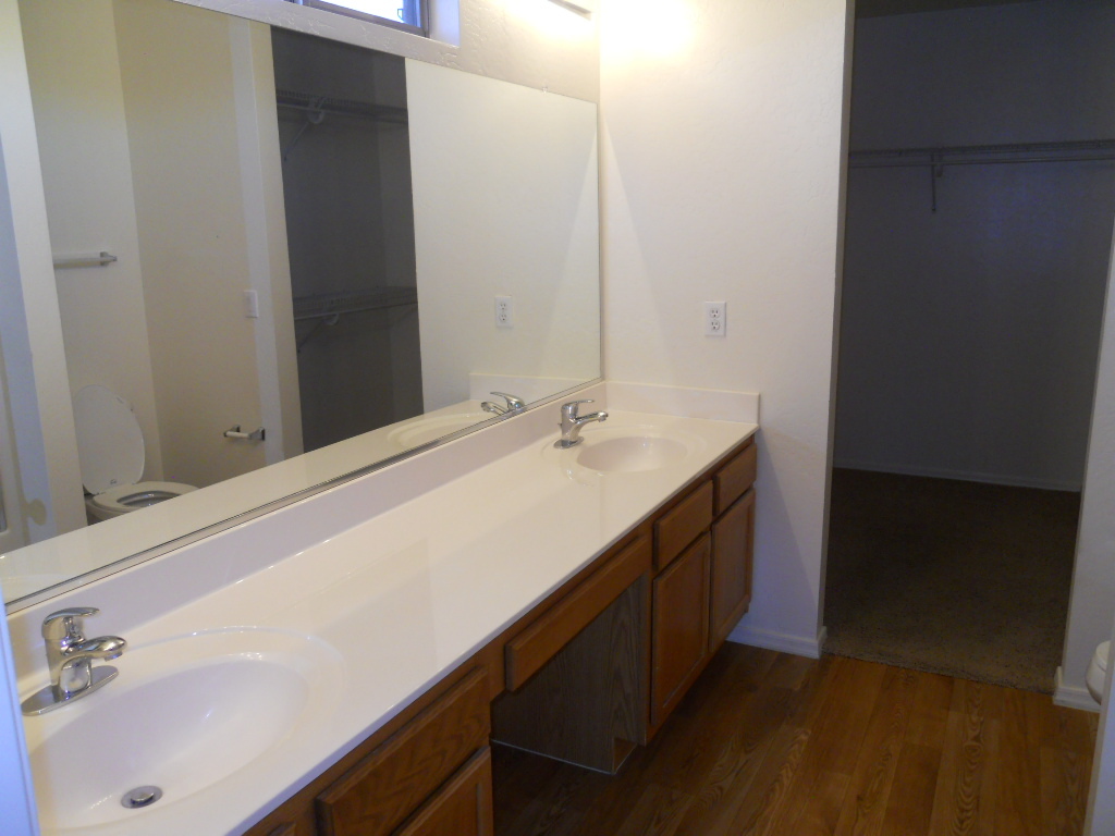 23733 West Pecan Road Buckeye, AZ 85326 - Photo 7 of 17 Master Bath