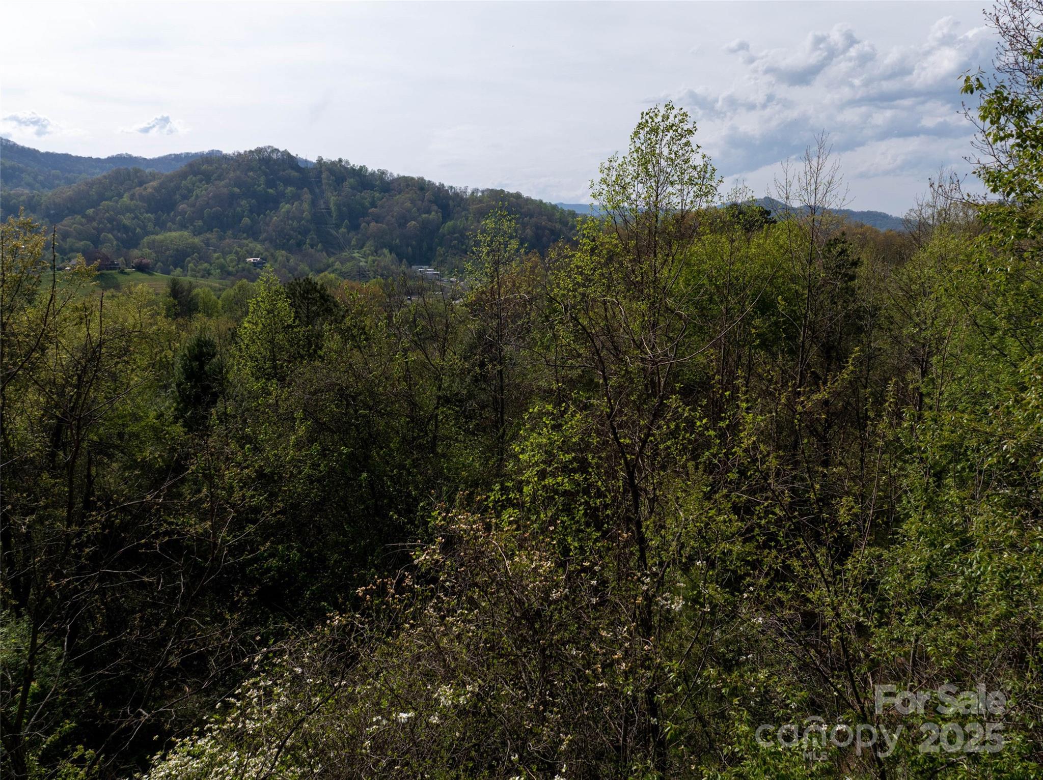 Lot 39 Sunnybrook Trail Clyde, NC 28721 - Photo 5 of 10 a view of a house with a forest