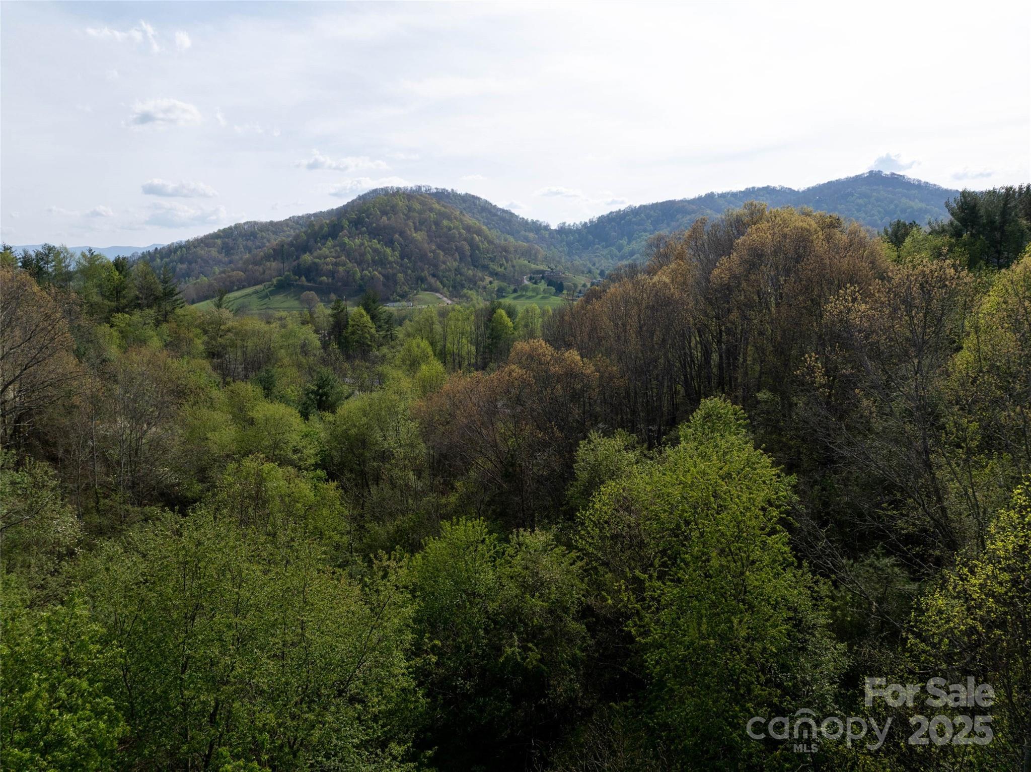 Lot 39 Sunnybrook Trail Clyde, NC 28721 - Photo 8 of 10 a land view