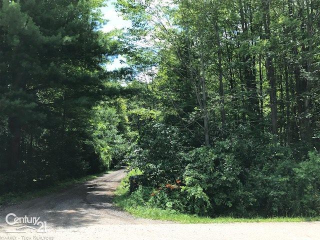 11176 North Pearson Road Utica, MI 48315 - Photo 6 of 48 Secluded Private Entry