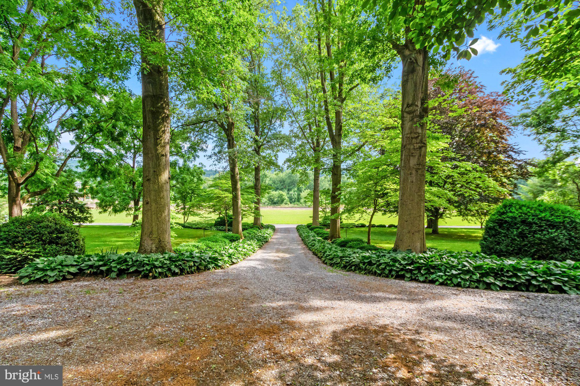 1632 Old River Road Marietta, PA 17547 - Photo 3 of 94 Driveway