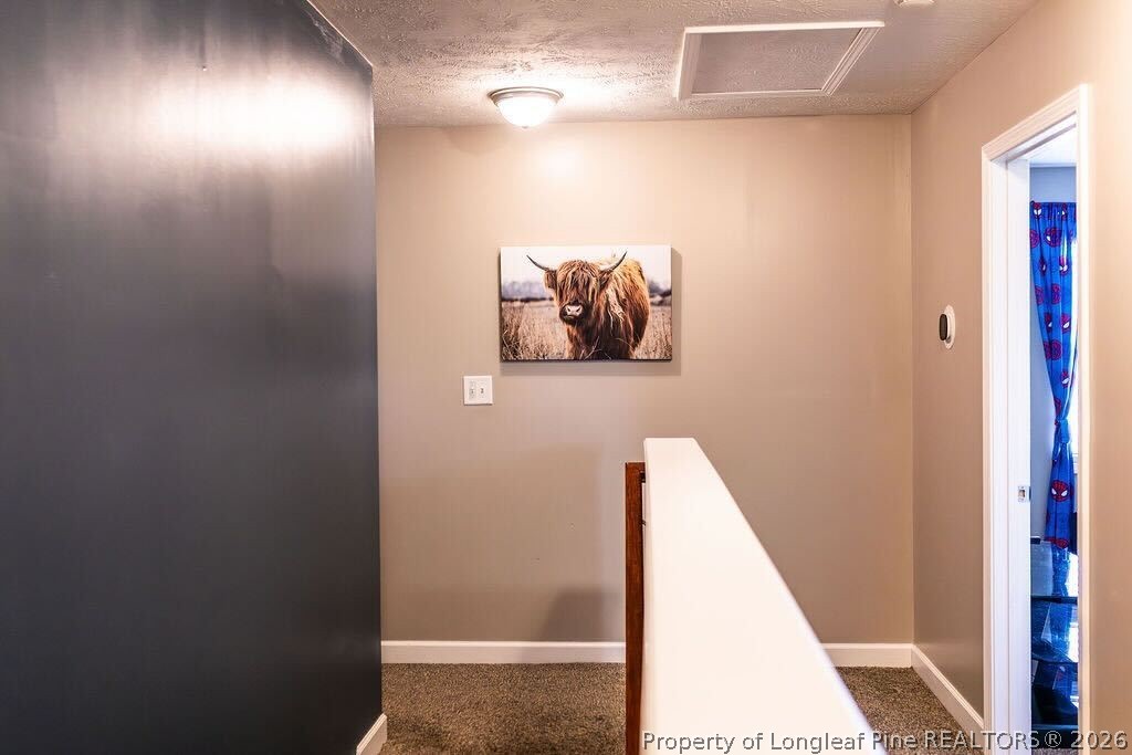 210 McGougan Road Lumber Bridge, NC 28357 - Photo 19 of 44