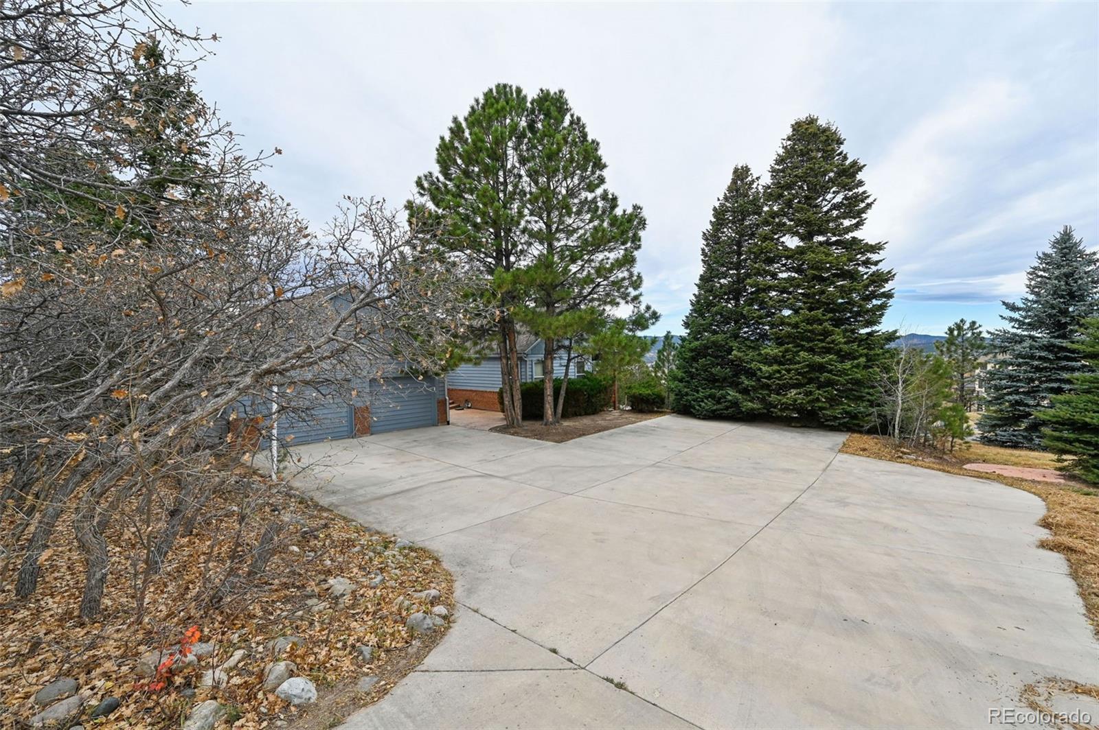 17580 Chipped Arrow Way Monument, CO 80132 - Photo 4 of 47 a view of a yard with plants and trees