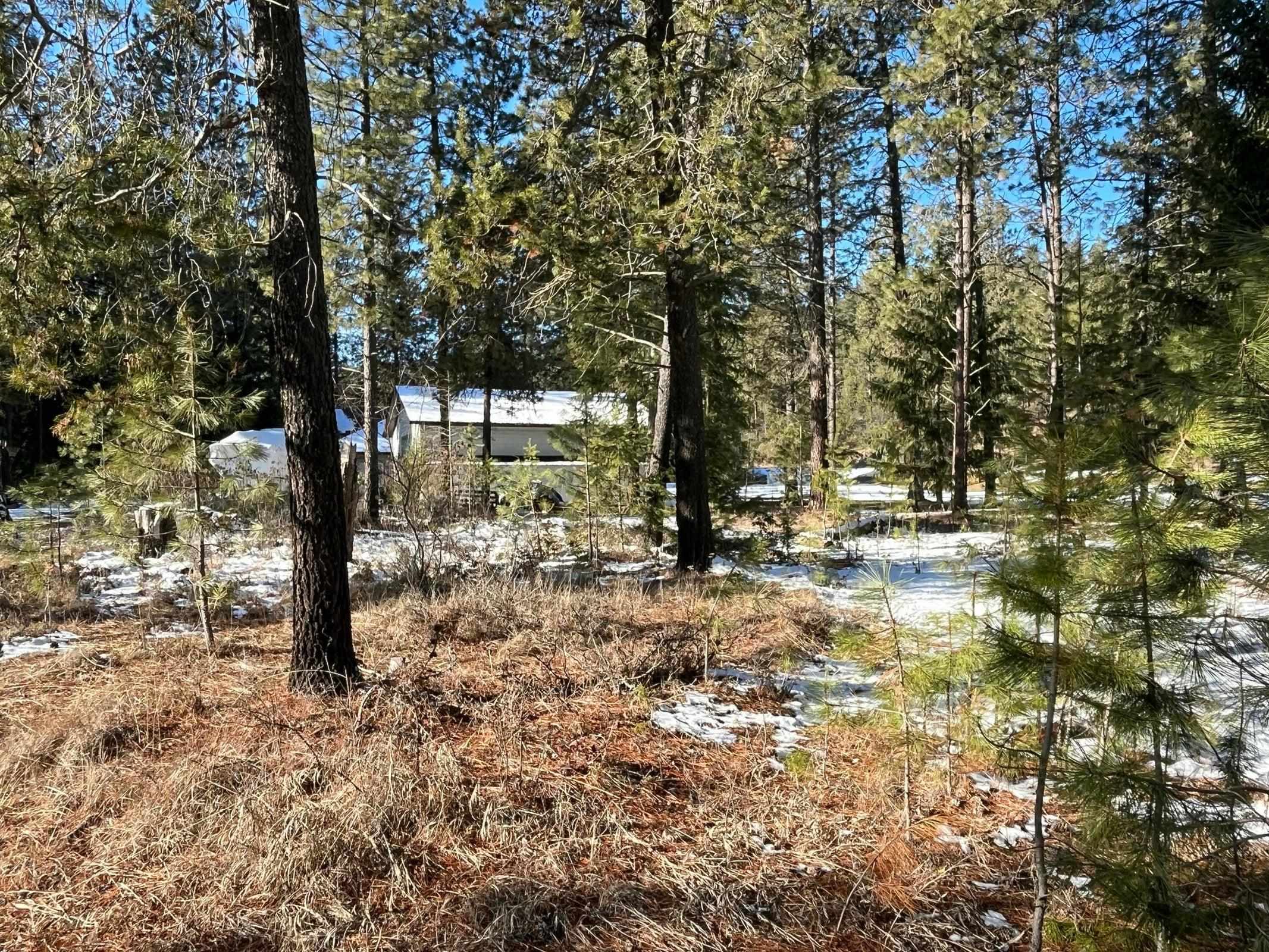 102 West Trappers Loop Chewelah, WA 99109 - Photo 11 of 13