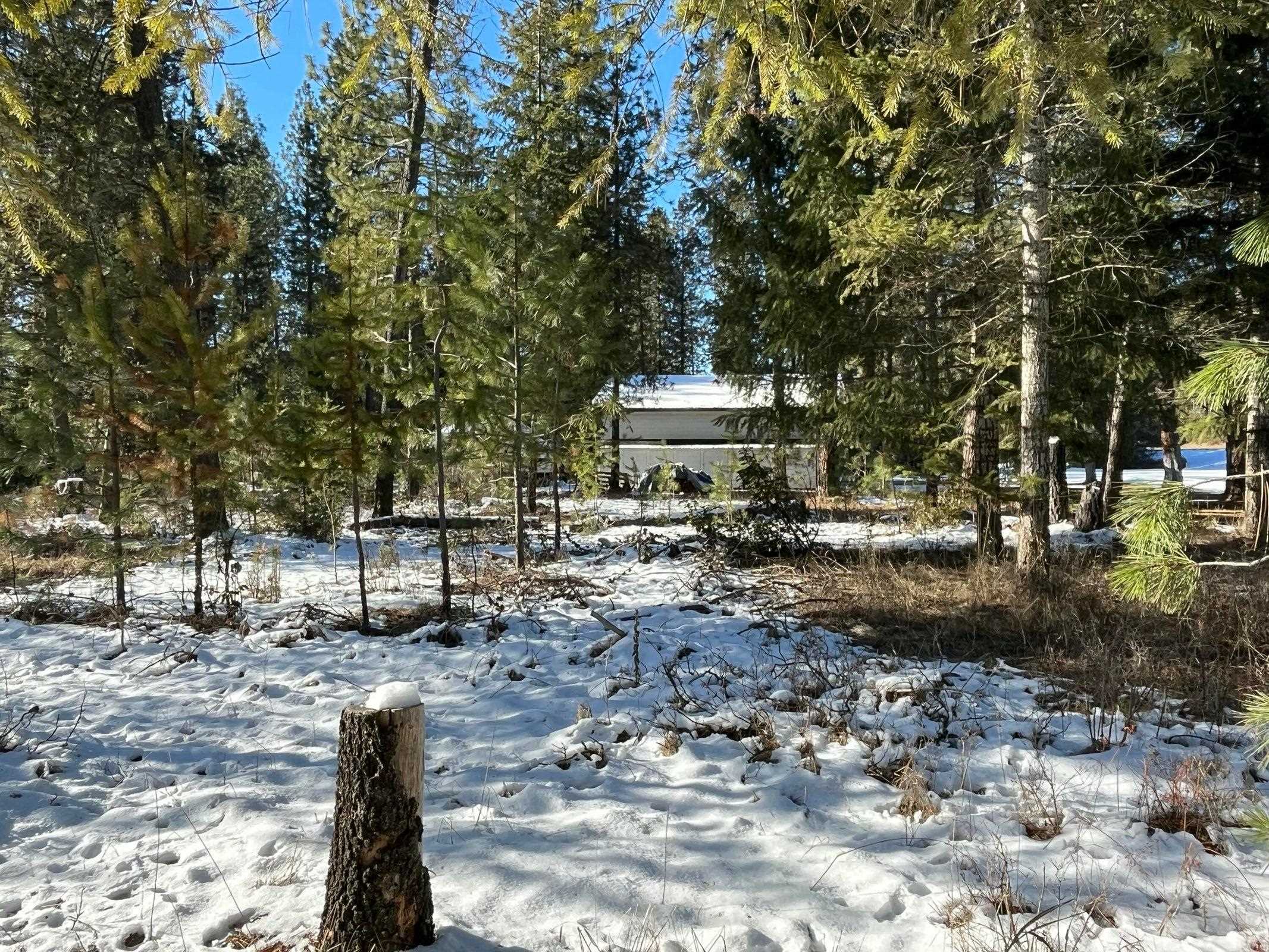 102 West Trappers Loop Chewelah, WA 99109 - Photo 12 of 13