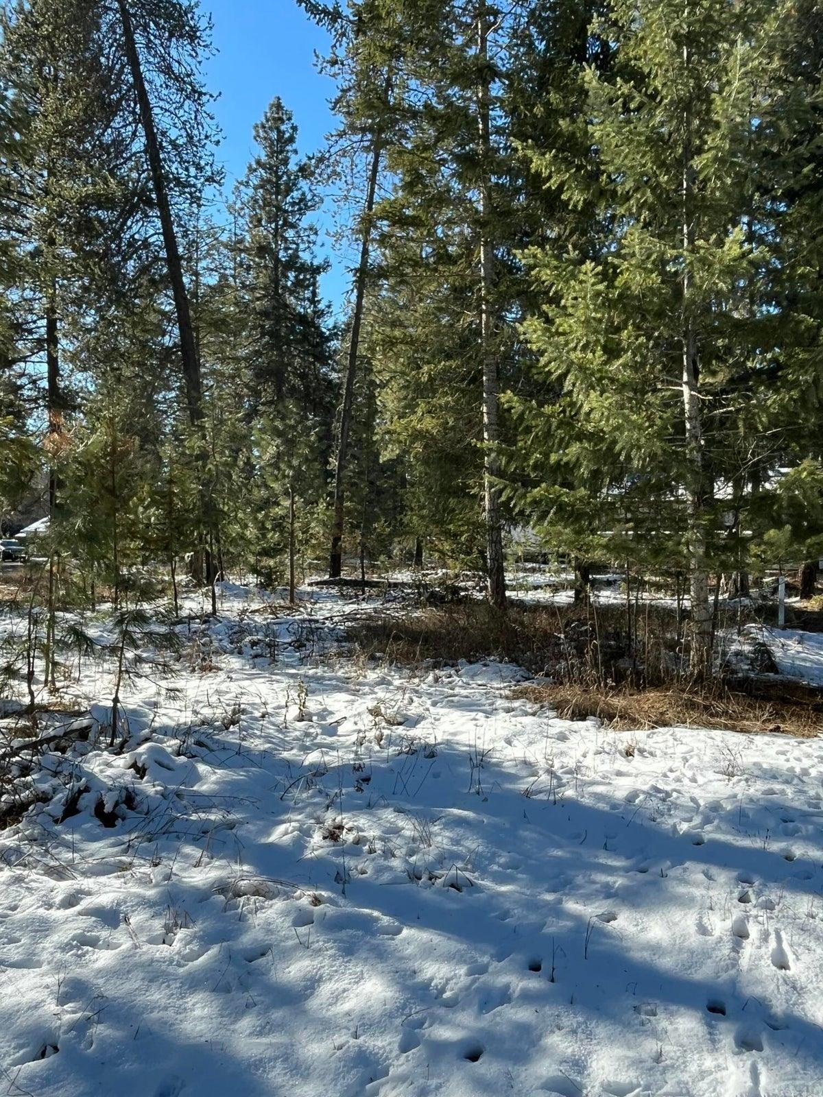 102 West Trappers Loop Chewelah, WA 99109 - Photo 13 of 13