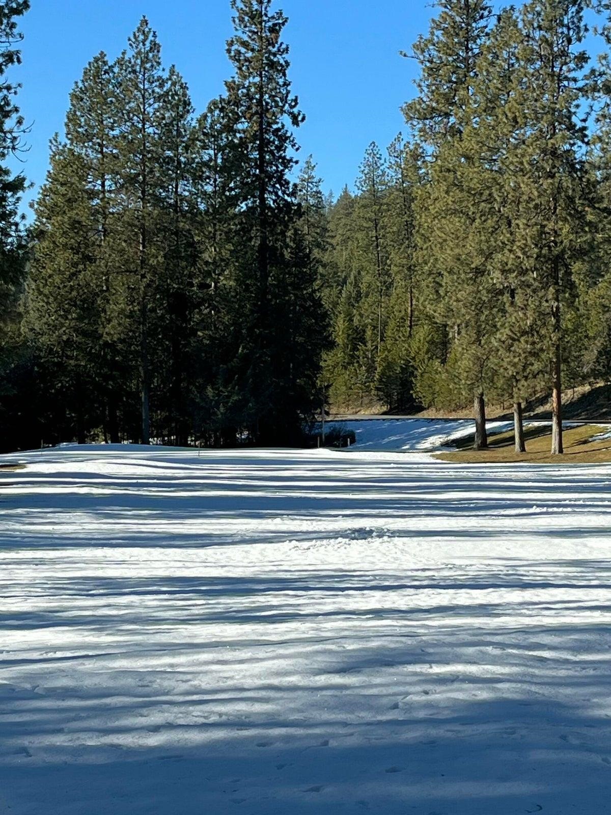 102 West Trappers Loop Chewelah, WA 99109 - Photo 2 of 13