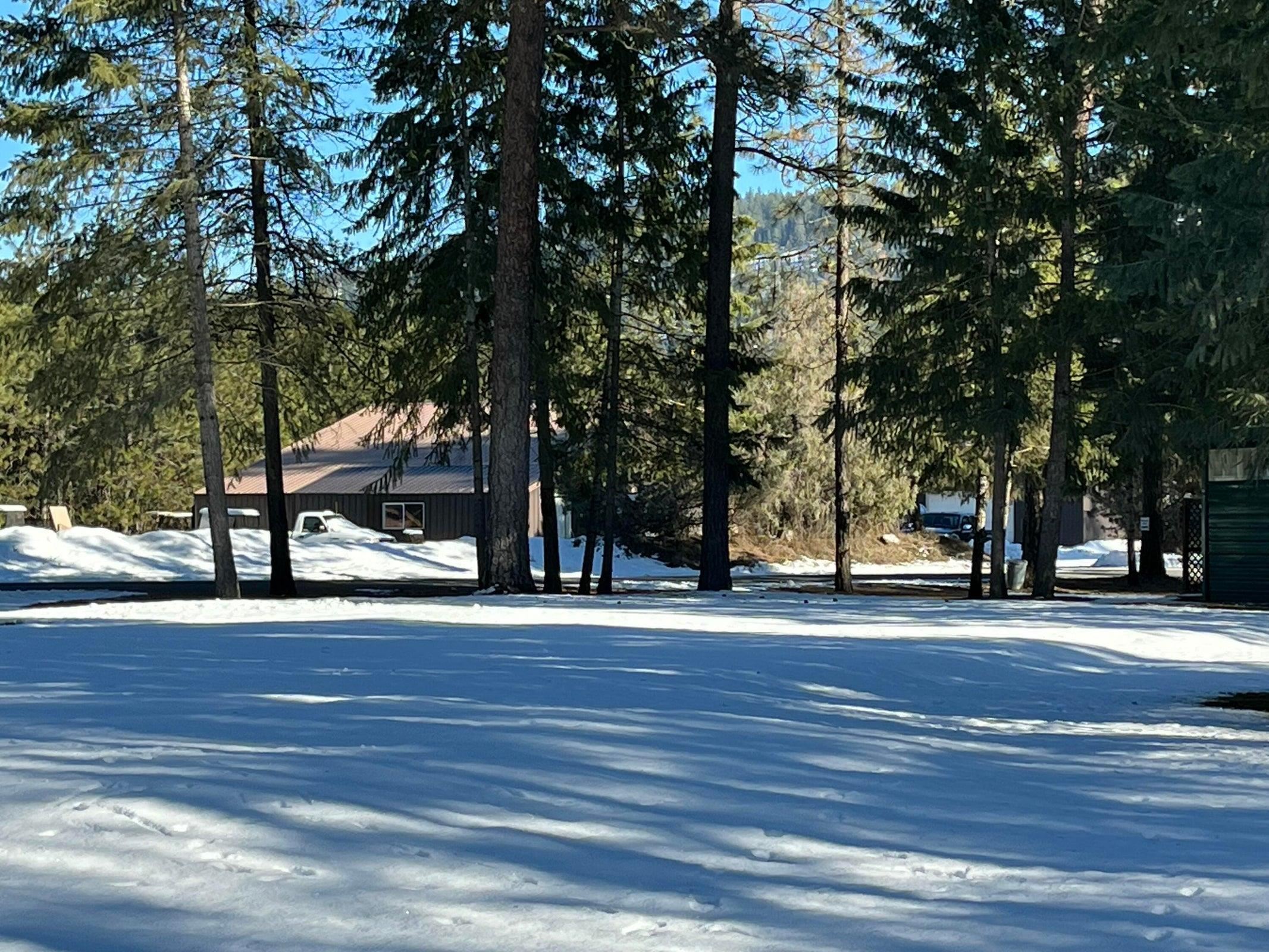 102 West Trappers Loop Chewelah, WA 99109 - Photo 3 of 13