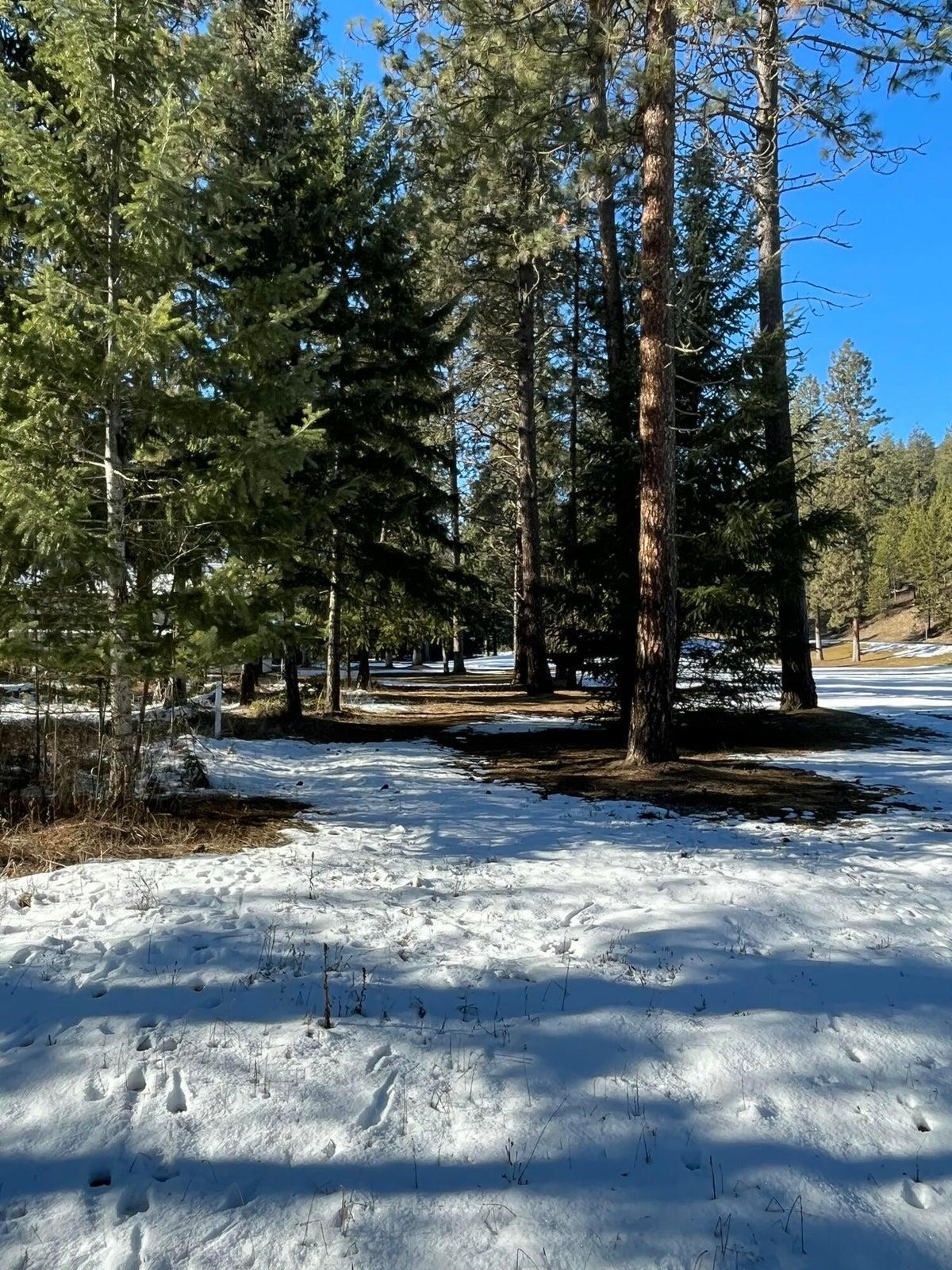 102 West Trappers Loop Chewelah, WA 99109 - Photo 4 of 13