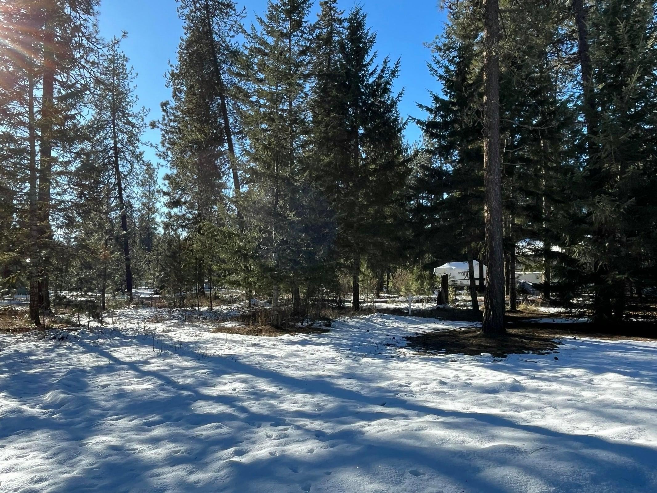 102 West Trappers Loop Chewelah, WA 99109 - Photo 5 of 13