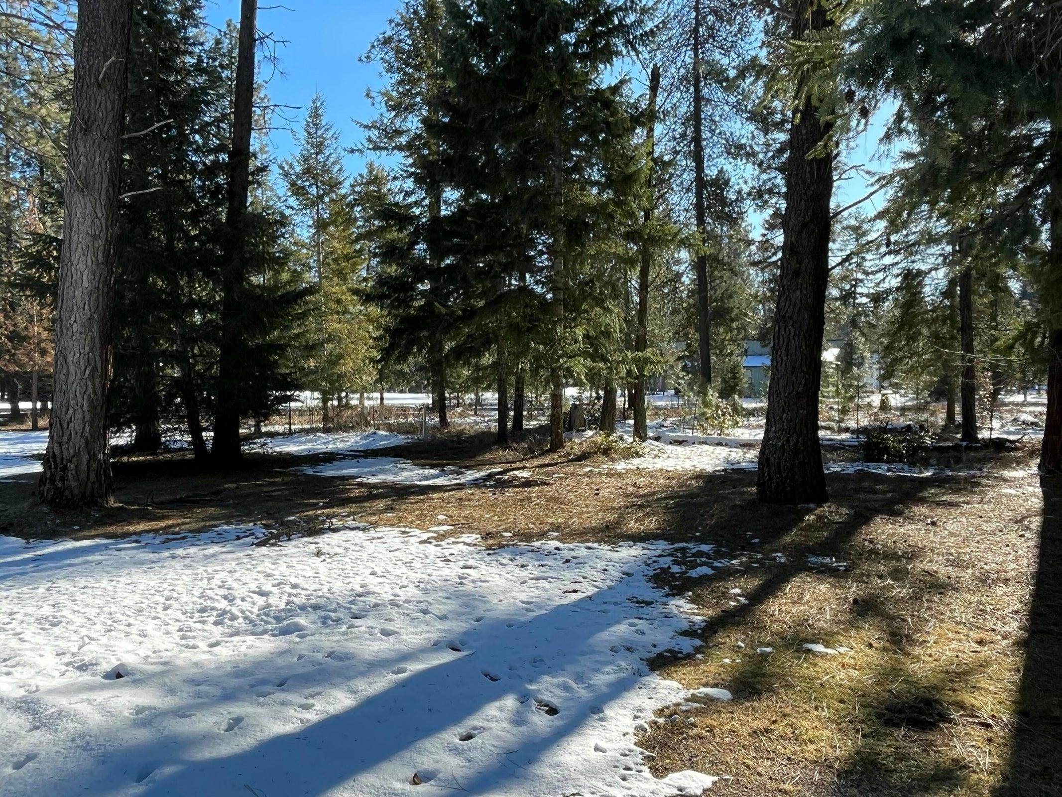 102 West Trappers Loop Chewelah, WA 99109 - Photo 6 of 13