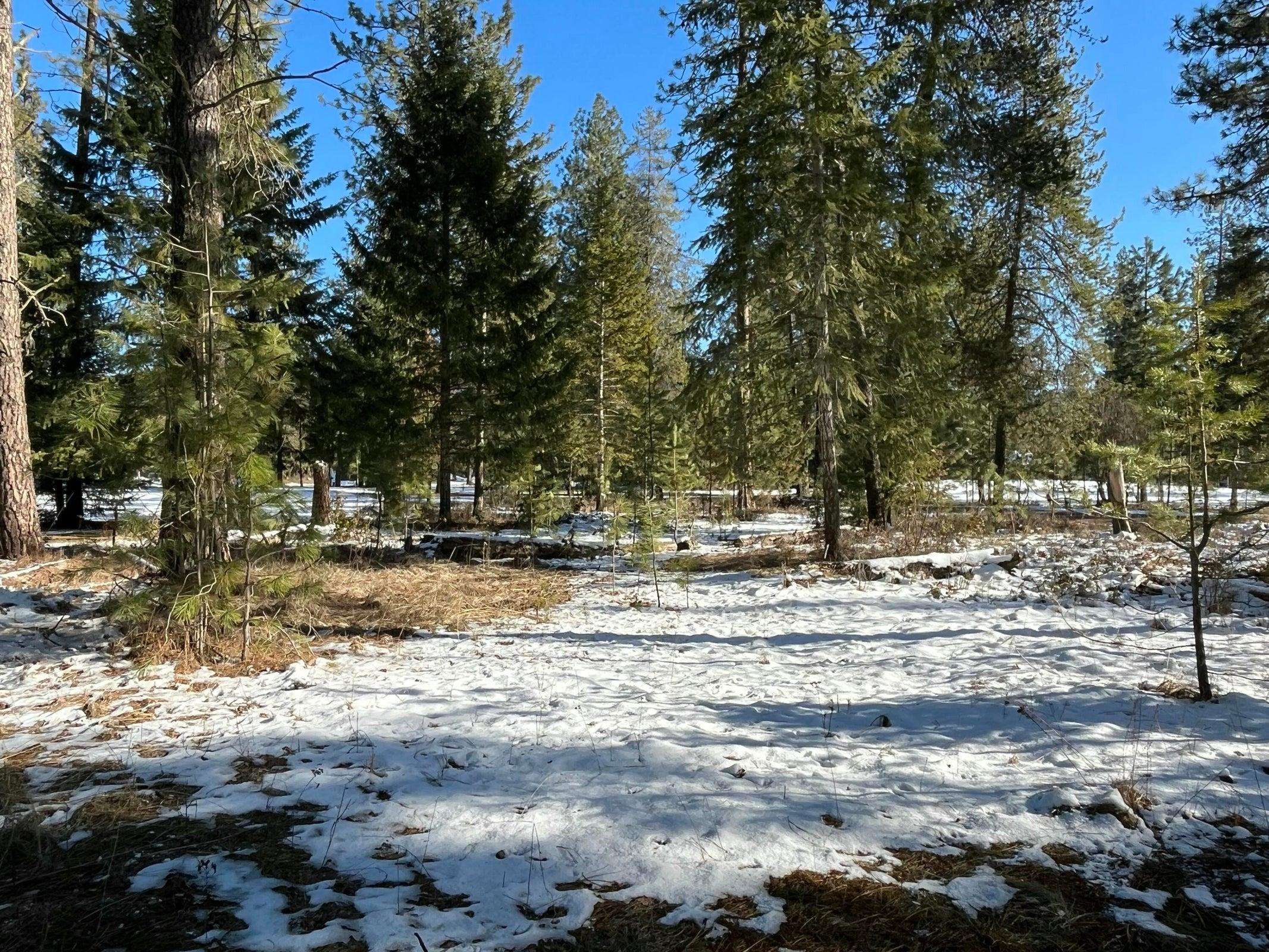 102 West Trappers Loop Chewelah, WA 99109 - Photo 7 of 13