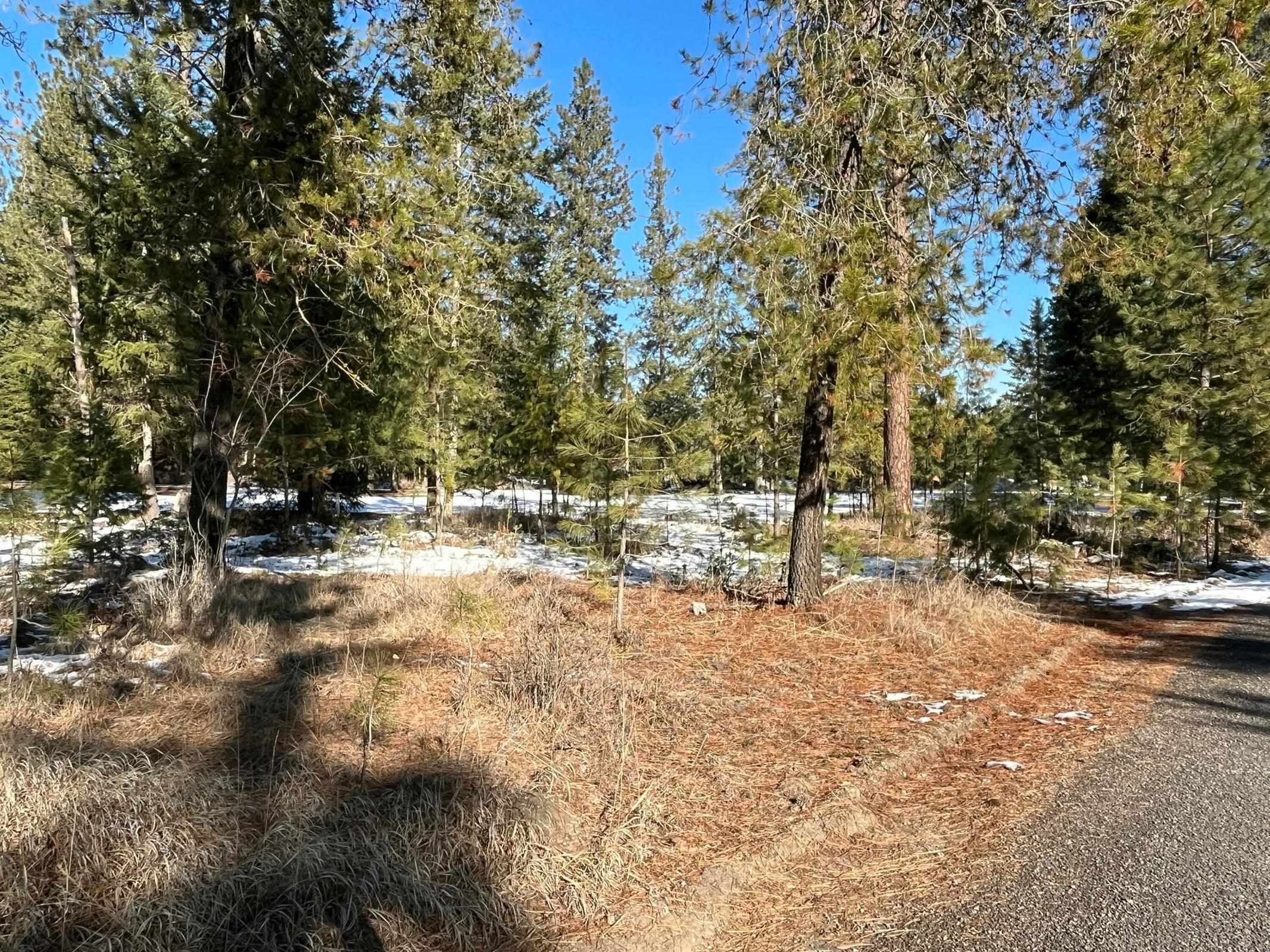 102 West Trappers Loop Chewelah, WA 99109 - Photo 8 of 13