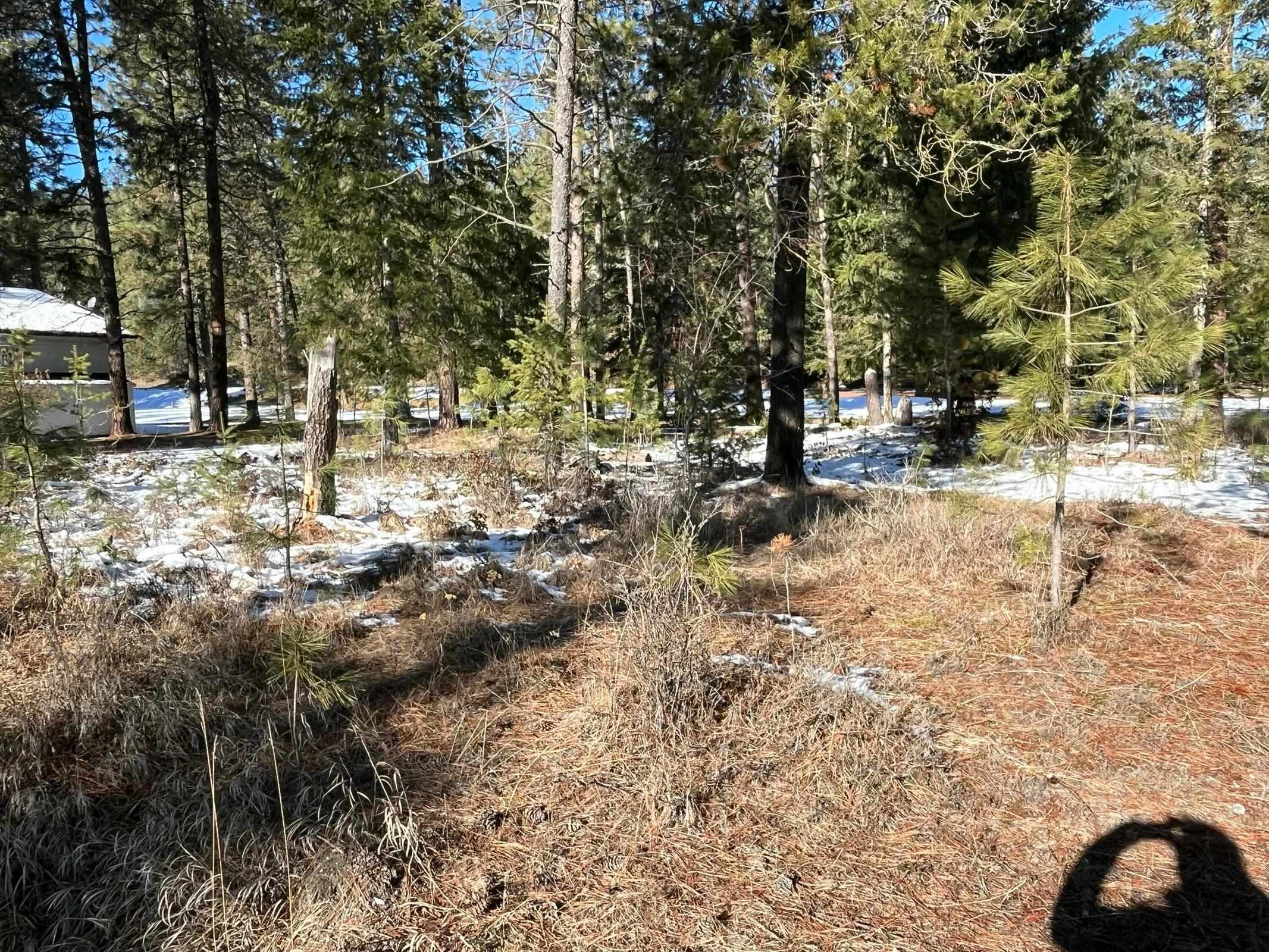 102 West Trappers Loop Chewelah, WA 99109 - Photo 10 of 13