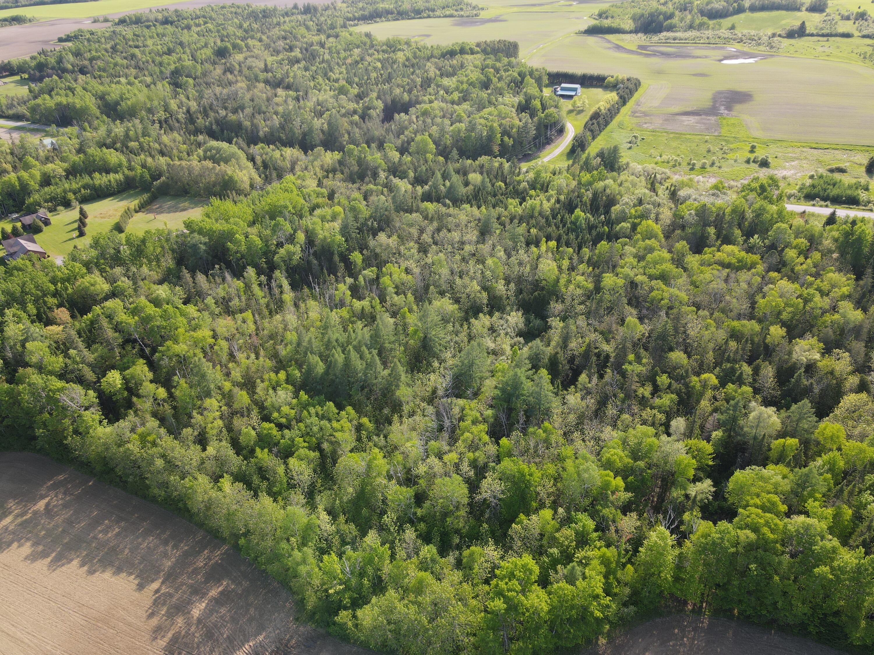 707 Hughes Road Mapleton, ME 04757 - Photo 8 of 9 dji_fly_20250603_171502_112_174916047126