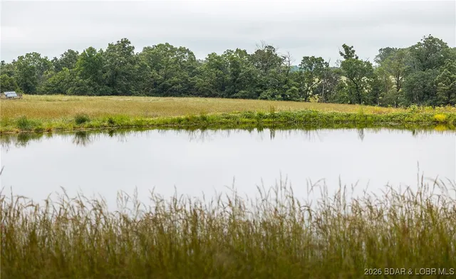 $985,000 | 0 Farm Road 2020, Crane, MO 65633