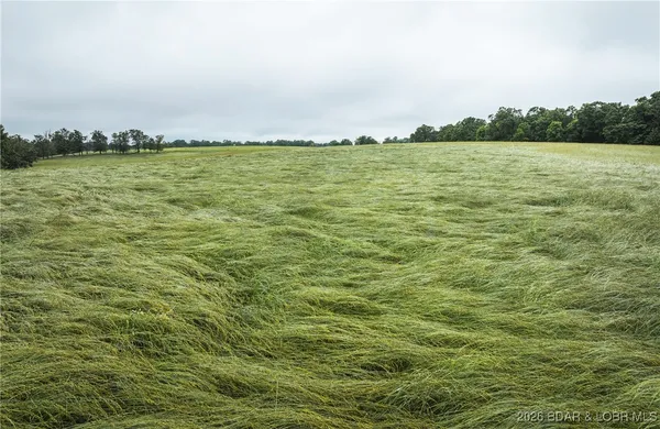 $985,000 | 0 Farm Road 2020, Crane, MO 65633