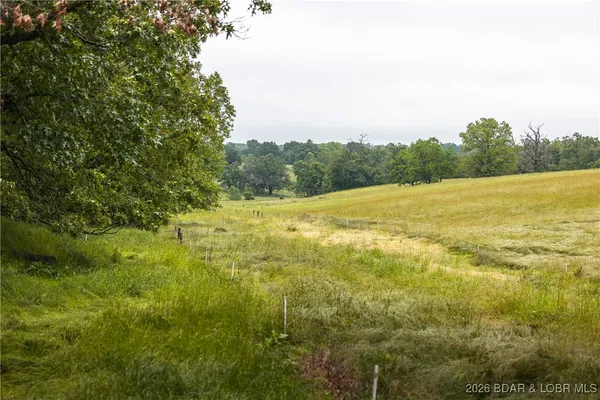 $985,000 | 0 Farm Road 2020, Crane, MO 65633