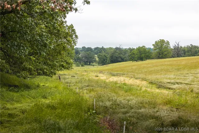 $985,000 | 0 Farm Road 2020, Crane, MO 65633