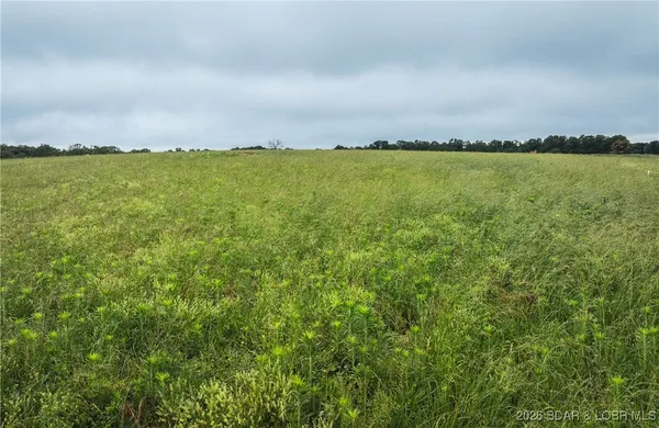 $985,000 | 0 Farm Road 2020, Crane, MO 65633