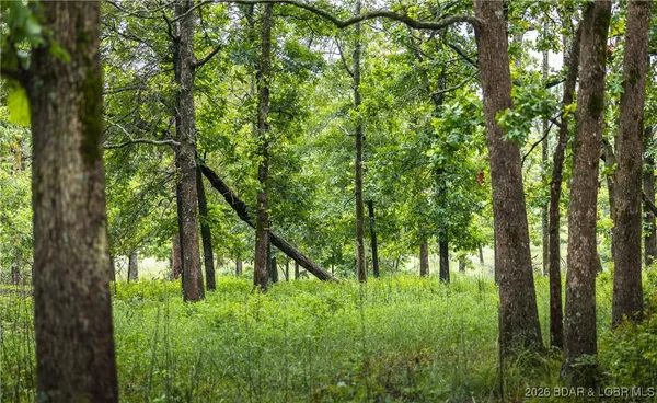 $985,000 | 0 Farm Road 2020, Crane, MO 65633