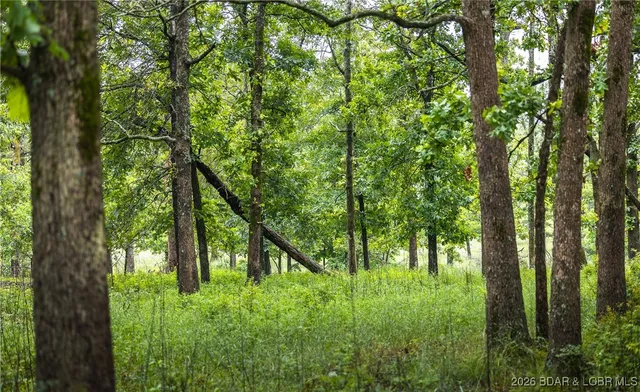 $985,000 | 0 Farm Road 2020, Crane, MO 65633