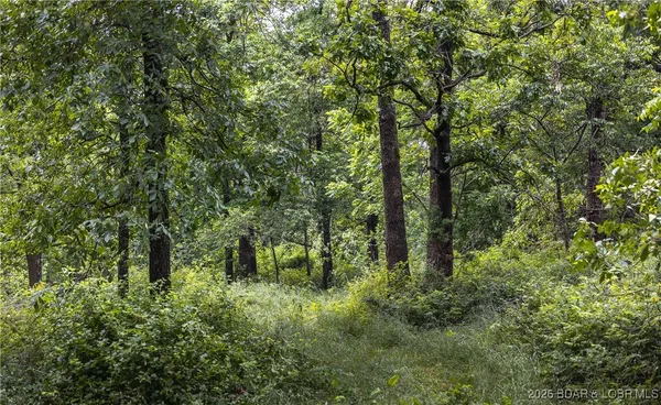 $985,000 | 0 Farm Road 2020, Crane, MO 65633