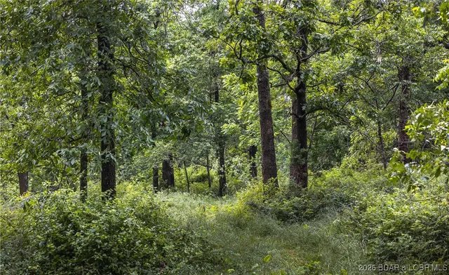 $985,000 | 0 Farm Road 2020, Crane, MO 65633