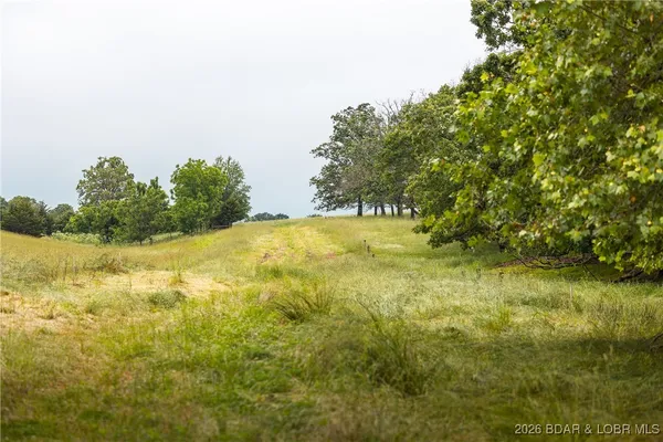 $985,000 | 0 Farm Road 2020, Crane, MO 65633