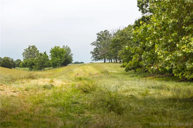 $985,000 | 0 Farm Road 2020, Crane, MO 65633