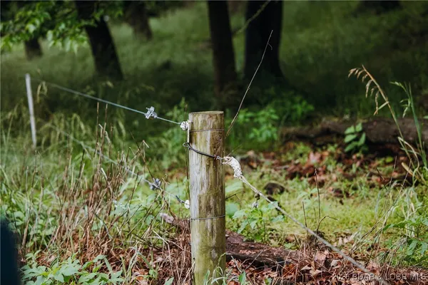 $985,000 | 0 Farm Road 2020, Crane, MO 65633