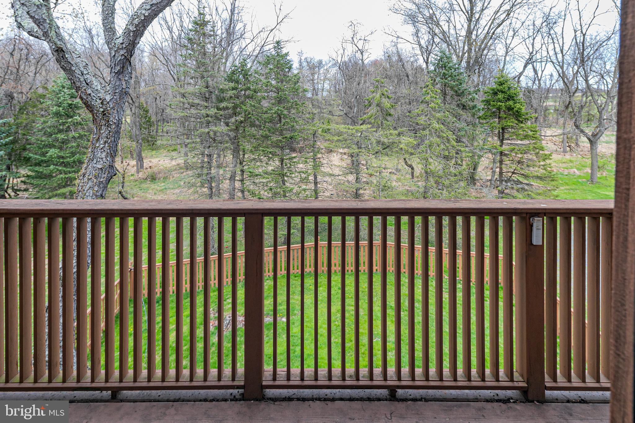 900 Canal Road Princeton, NJ 08540 - Photo 24 of 38 a view of a backyard