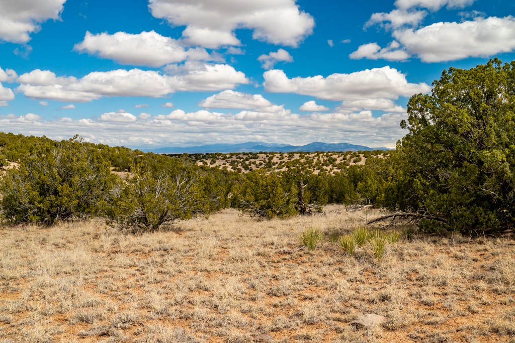 Tbd Hanuman Road Cerrillos, NM 87010 - Photo 9 of 33