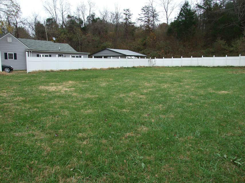 2880 Lithia Road Buchanan, VA 24066 - Photo 4 of 16 2880 side yard photo 2