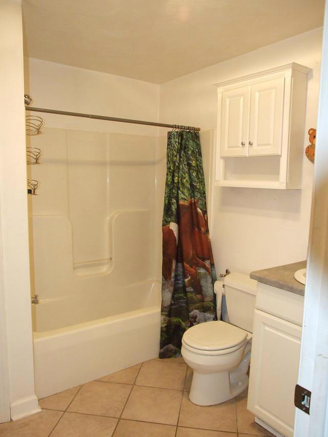 2880 Lithia Road Buchanan, VA 24066 - Photo 8 of 16 2880 bathroom