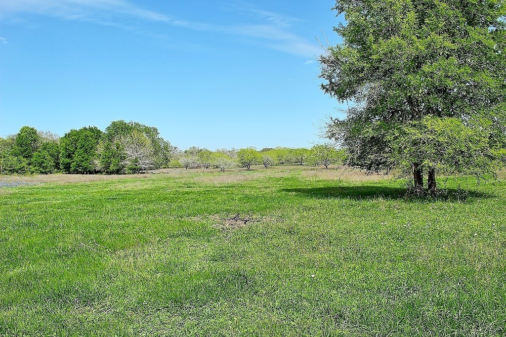Tbd Scott Road Weimar, TX 78962 - Photo 13 of 16 a view of outdoor space with green field and trees all around